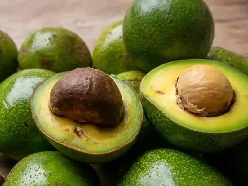 Avokado Çekirdeğinin Gizli Faydaları: Çöpe Atmaktan Vazgeçin!