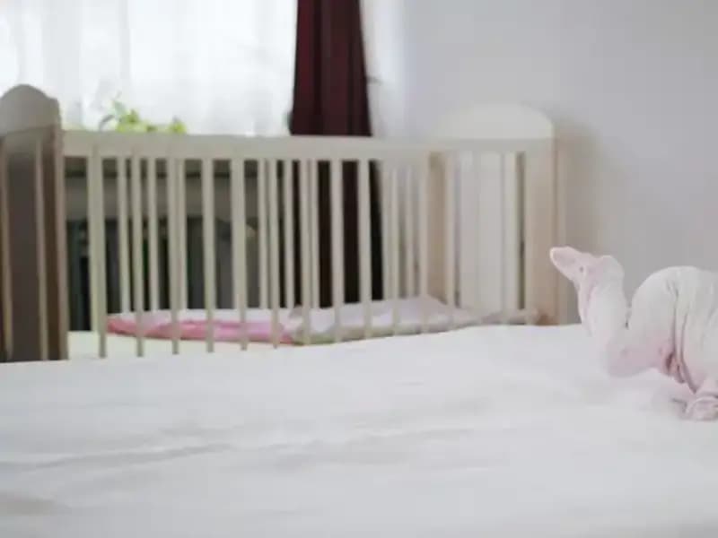 Bebek Yataklarındaki Gizli Tehlike: Bu Malzeme Sağlığınızı Tehdit Ediyor!