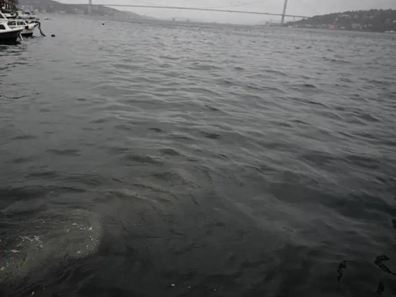 Üsküdar'da Kanalizasyon Suyu Denize Karıştı