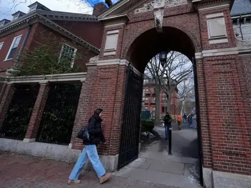 Harvard Profesörleri Trump Yönetimine Karşı Hukuki Mücadele Başlattı