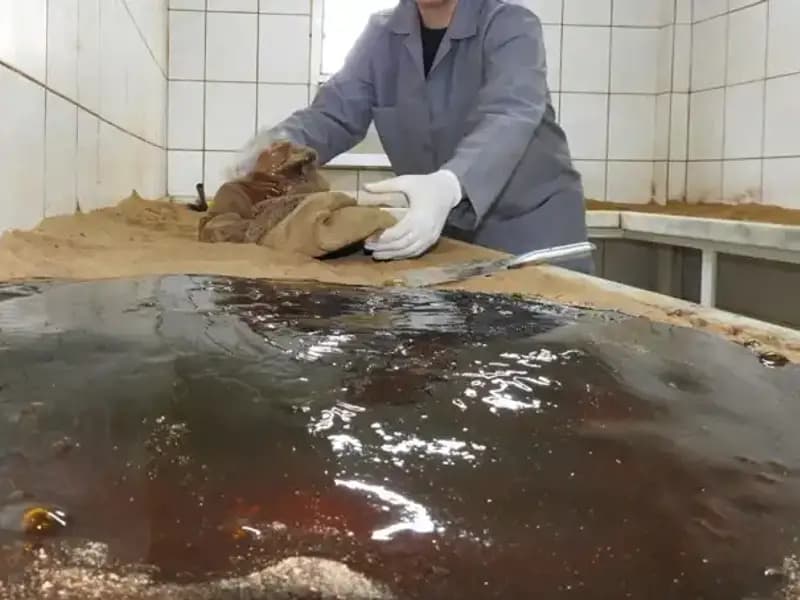 485 Yıllık Gelenek: 41 Çeşit Baharat ile Hazırlanan Duanın Detayları