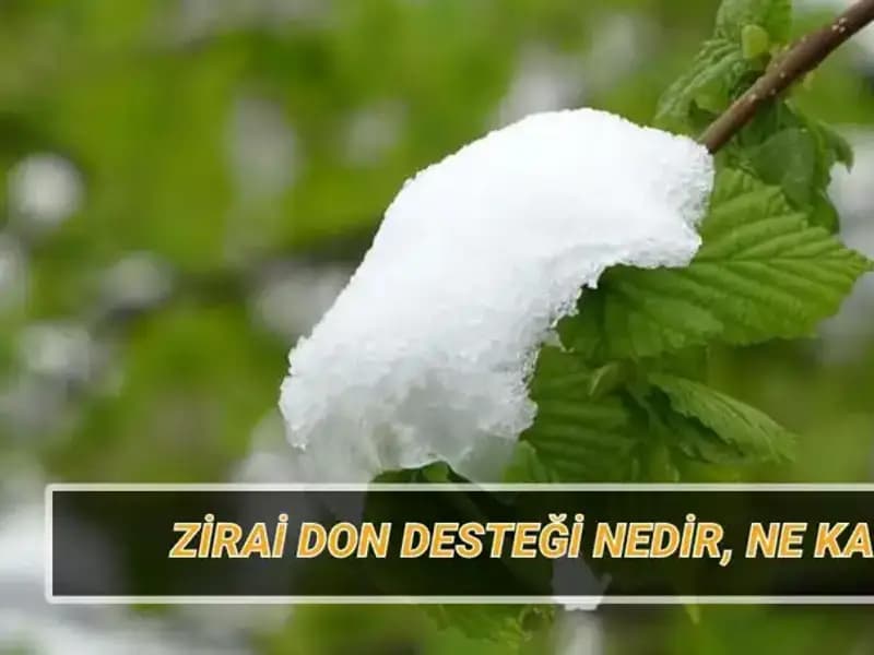 Zirai Don Desteği Sağlanacak İllere ve Miktarına Dair Detaylar