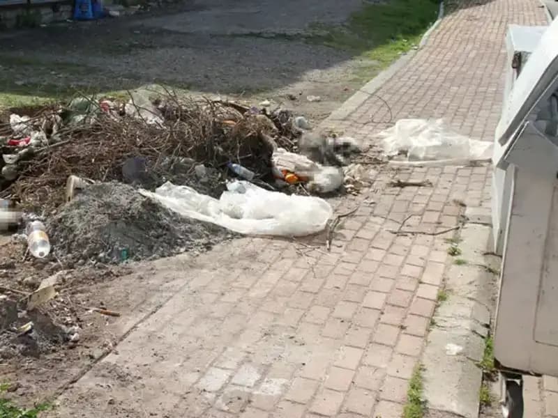 Antalya'da Kedi Katliamı: 10 Hayvanın Ölümü Şaşkınlık Yarattı