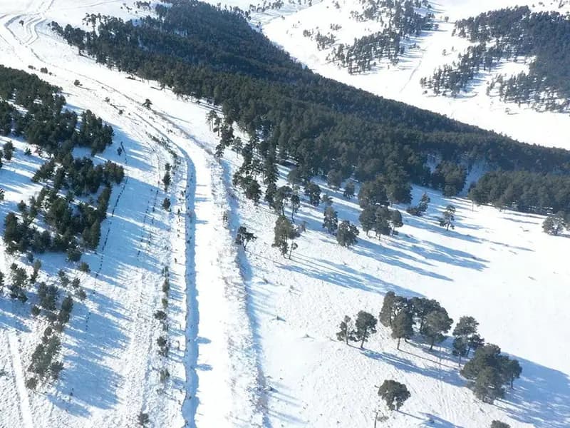Sarıkamış Şehitleri Anıldı