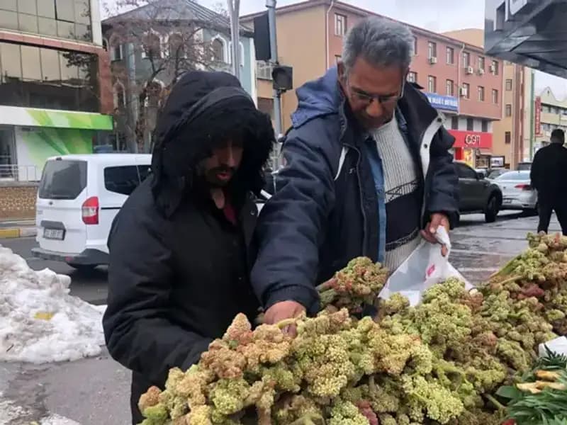 Kendiliğinden Yetişen Vitamin Deposunun Sağlık Üzerindeki Şaşırtıcı Etkileri