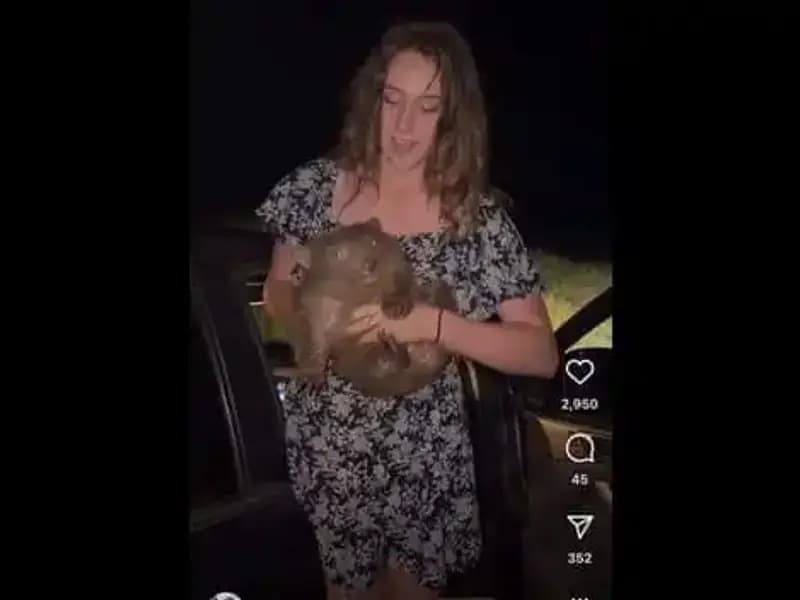 Yavru Hayvanı Annesinden Ayıran Adamın Gözyaşlarıyla Dolu Hikayesi