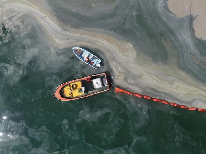 Marmara Denizi'nde Müsilaj Sorunu Devam Ediyor