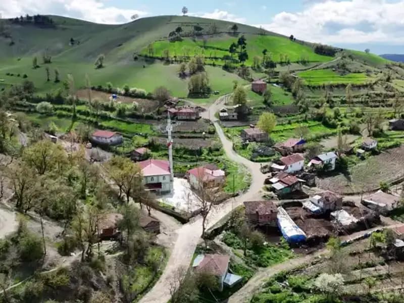 Türkiye'de Şok Edici Durum: Mahallenin Çoğu Sağır ve Dilsiz
