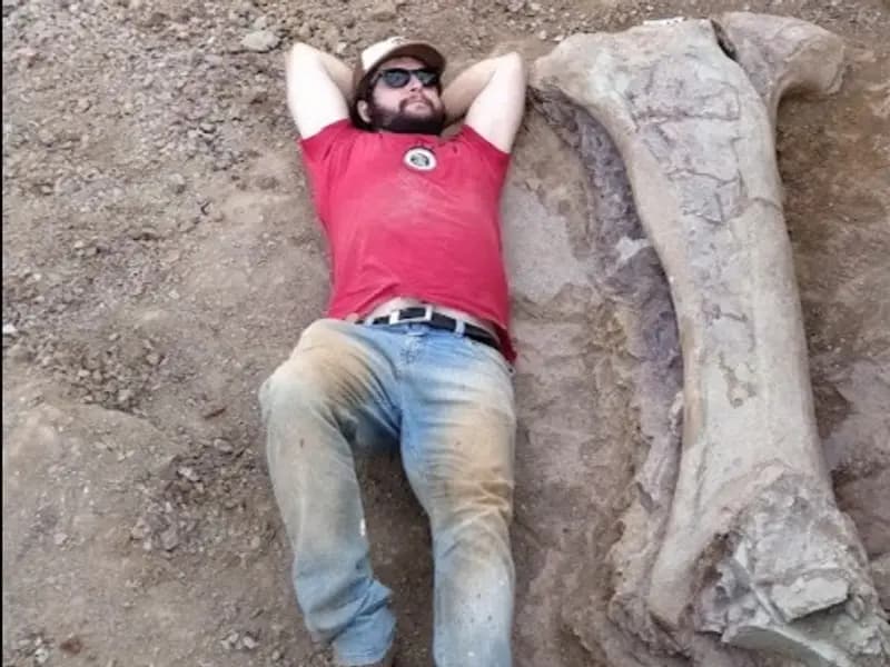 Brezilya'da Dev Dinozor Türü Keşfedildi: İnsan Boyunda Kemik