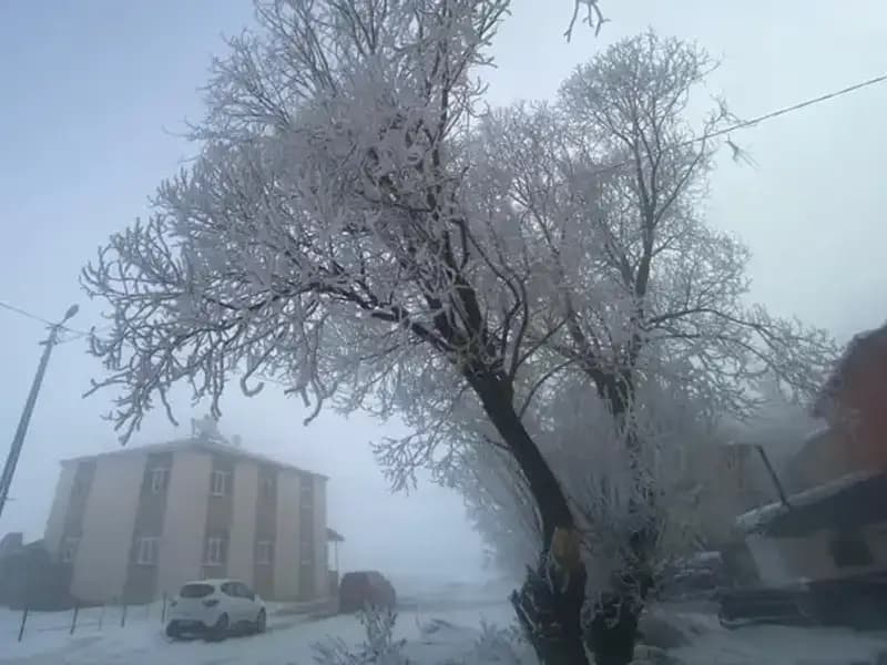 Göle'de Eksi 18 Derece: Soğuk Hava Rekoru Kırıldı