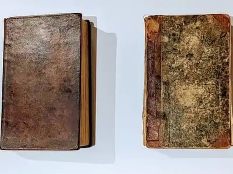 200 Yıllık Gizem: Katilin Derisiyle Yapılmış Kitap Müzesini Şaşkına Çevirdi