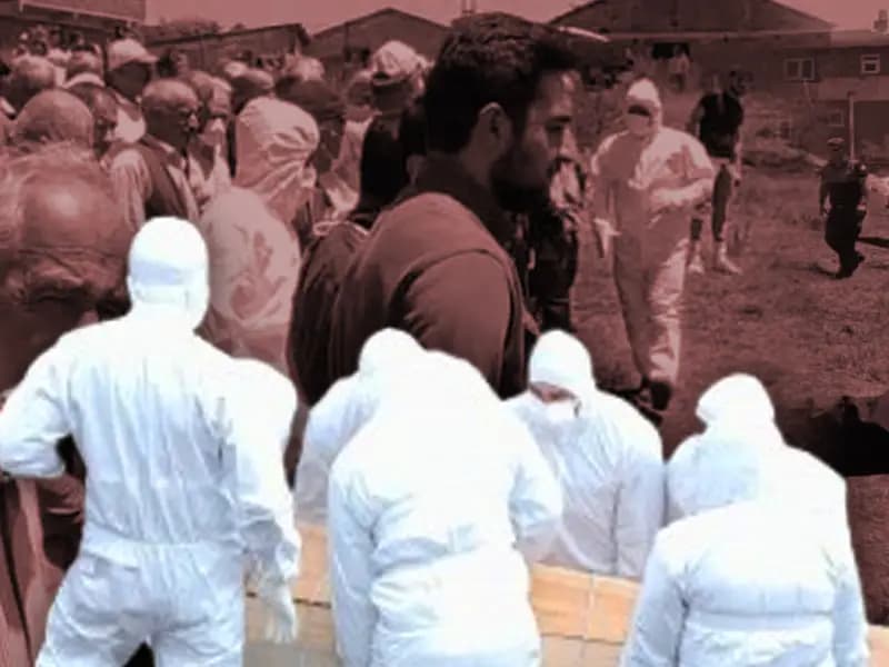 Nisan Ortasında Kene Tehdidi: Altı Şehir İçin Uyarı Geldi