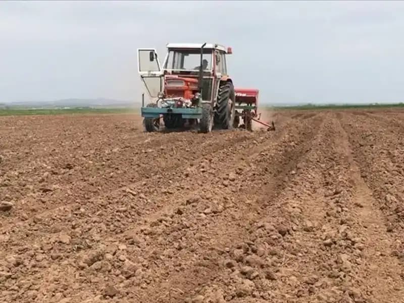 Son 35 Yılın En Kurak Mart Ayı: Yağış Miktarı Yüzde 59 Düştü