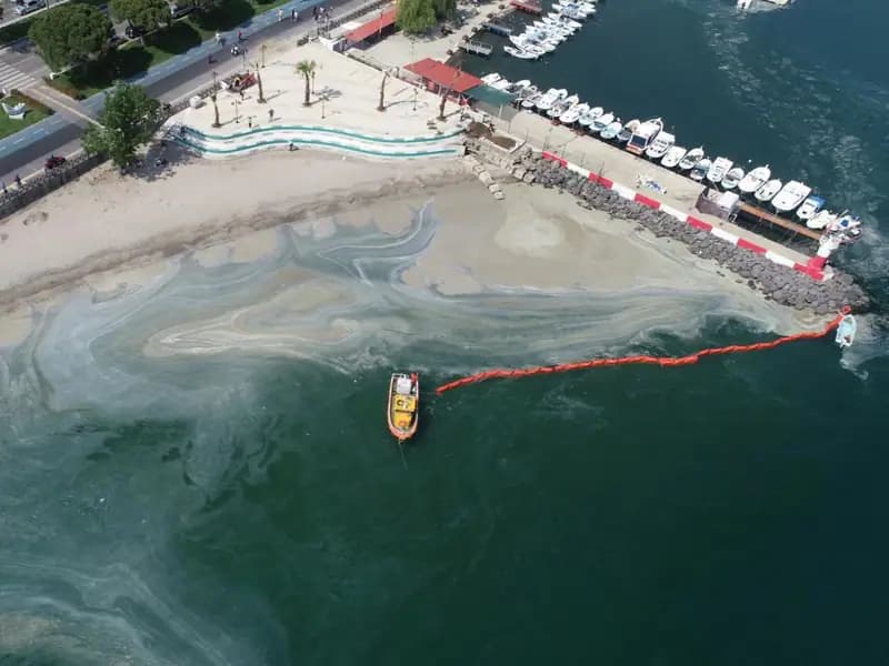 Müsilaj Bilim Kurulu Yeni Tedbirler İçin Bir Araya Geliyor