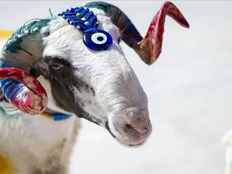 2026 Kurban Bayramı ne zaman, tatil süresi 9 gün mü olacak?