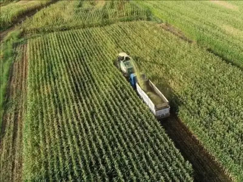 2025 Mazot ve Gübre Desteği Ödemeleri: Son Durumu Öğrenin