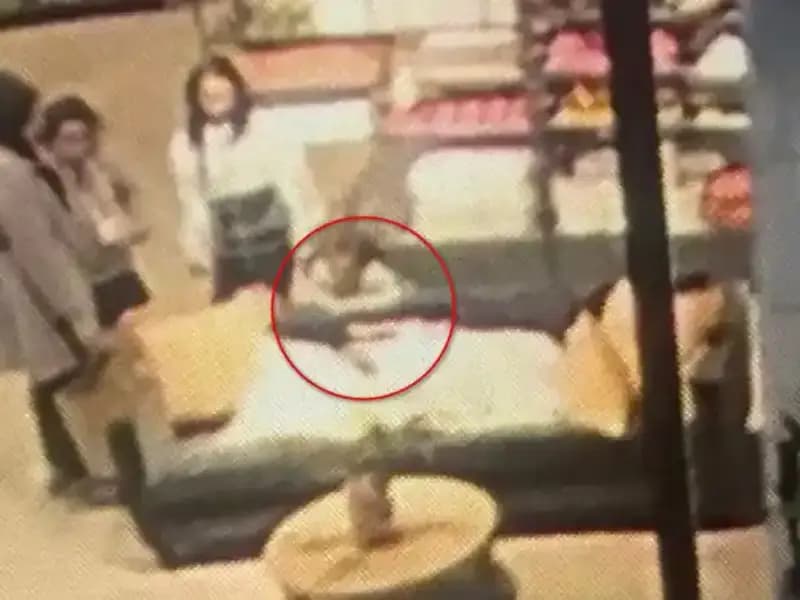 3 Yaşındaki Çocuğa AVM'de Köpek Saldırdı: Aile Şokta