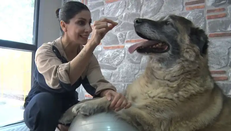 Obeziteyle Mücadele: 55 Kilo Fazla Taşıyan Duman'ın İnanılmaz Zayıflama Hikayesi