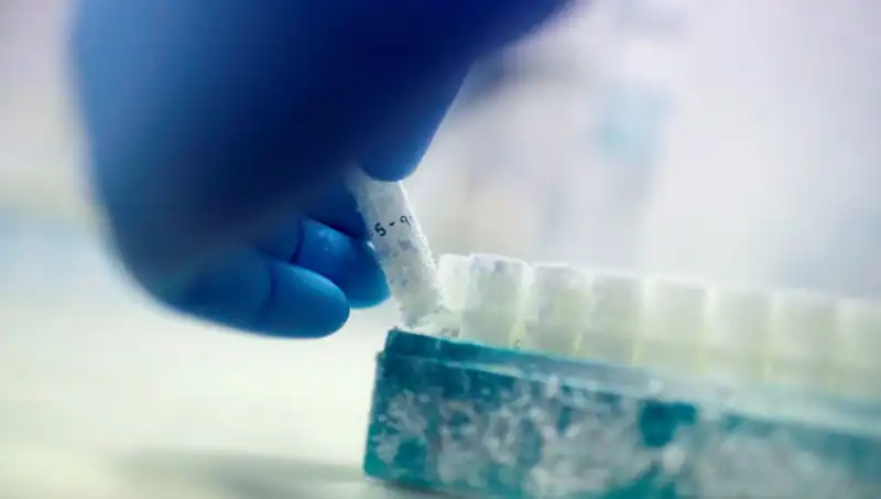 Tıbbi Skandal: 85 Sperm Donörü Neden Binlerce Çocuğa Baba Oldu?