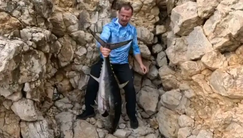 Saros'ta Oltaya Takılan Tam 30 Kilo Ağırlığındaki Dev Balık Şaşırttı