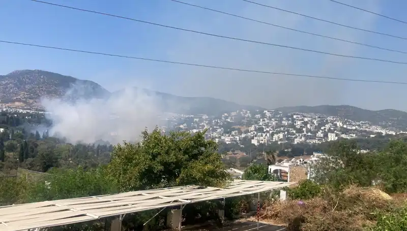 Muğla Orman Yangınları: Kontrol Altına Alındı, Önlemler Artıyor